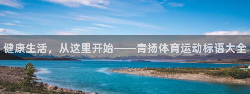 三亿体育网页版