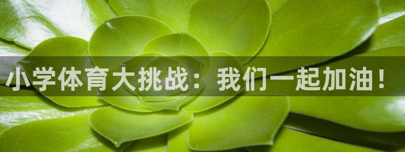 三亿体育网：小学体育大挑战：我们一起加油！