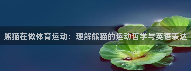 三亿体育网页版