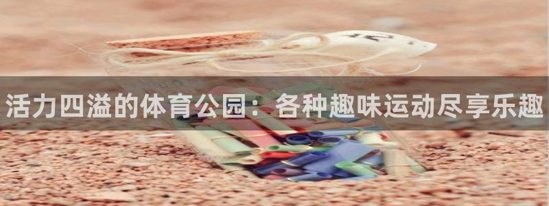 三亿体育：活力四溢的体育公园：各种趣味运动尽享乐趣