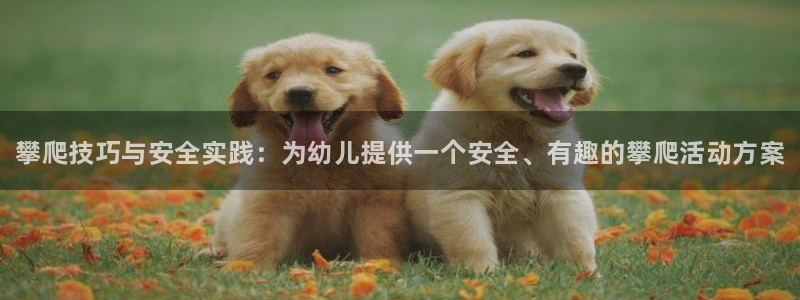 三亿体育：攀爬技巧与安全实践：为幼儿提供一个安全、有趣的攀爬活动方案