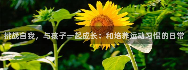 三亿体育网页版：挑战自我，与孩子一起成长：和培养运动习惯的日常