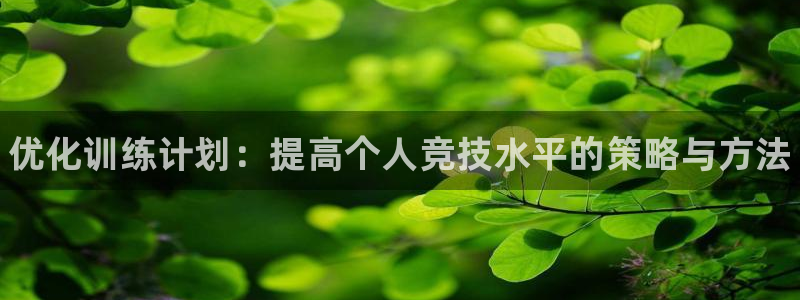 三亿体育网：优化训练计划：提高个人竞技水平的策略与方法