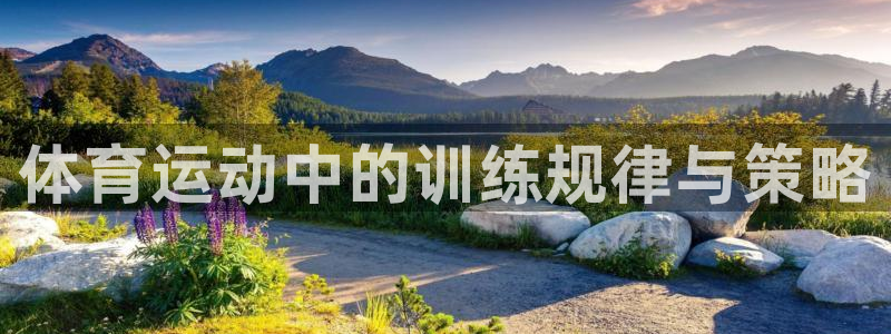 三亿体育网：体育运动中的训练规律与策略