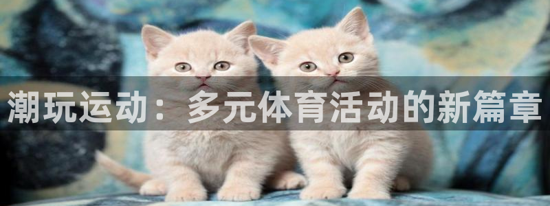 三亿体育网页版：潮玩运动：多元体育活动的新篇章