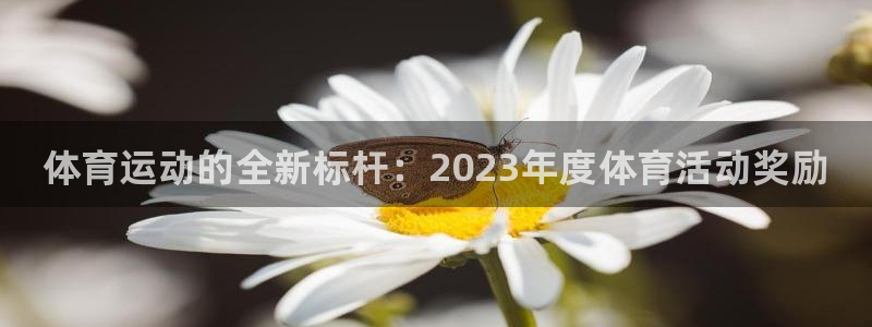 三亿体育网：体育运动的全新标杆：2023年度体育活动奖励