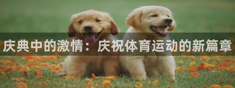 三亿体育
