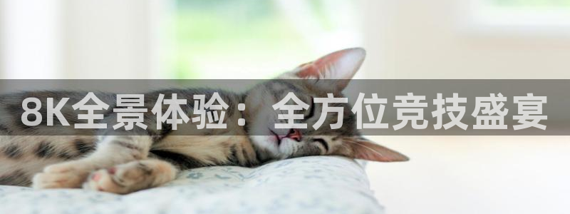 三亿体育：8K全景体验：全方位竞技盛宴