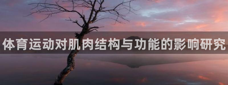 三亿体育网页版：体育运动对肌肉结构与功能的影响研究
