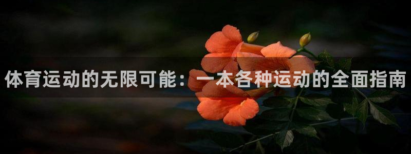 三亿体育网：体育运动的无限可能：一本各种运动的全面指南
