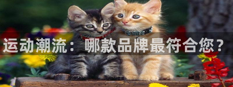三亿体育