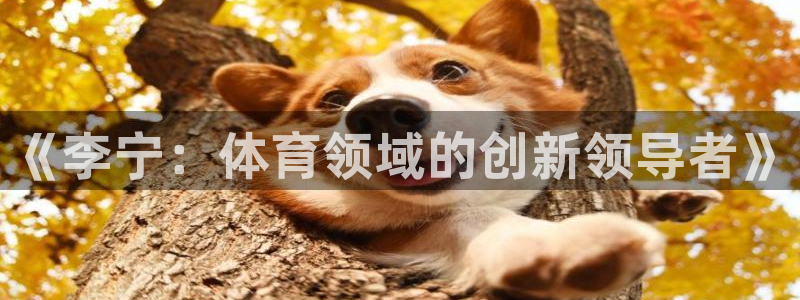 三亿体育网页版