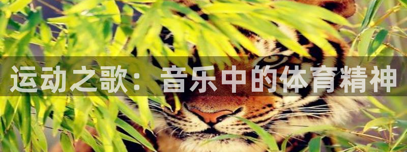 三亿体育：运动之歌：音乐中的体育精神