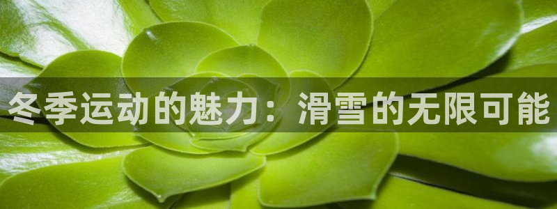 三亿体育网页版：冬季运动的魅力：滑雪的无限可能