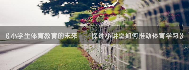 三亿体育：《小学生体育教育的未来——探讨小讲堂如何推动体育学习》