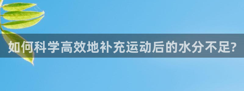 三亿体育网