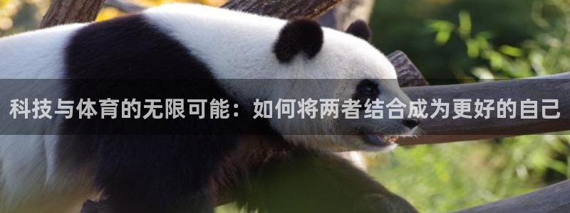 三亿体育登录：科技与体育的无限可能：如何将两者结合成为更好的自己