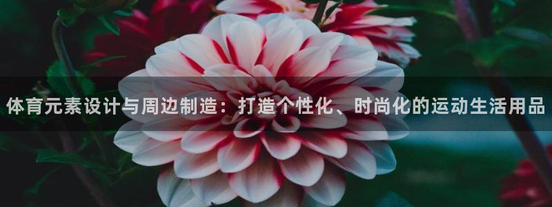 三亿体育登录：体育元素设计与周边制造：打造个性化、时尚化的运动生活用品