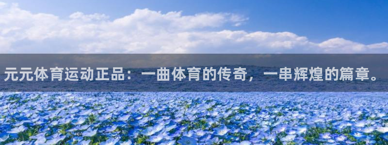 三亿体育网：元元体育运动正品：一曲体育的传奇，一串辉煌的篇章。