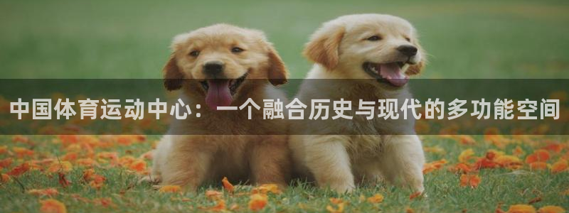 三亿体育登录
