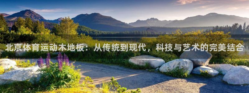 三亿体育网页版：北京体育运动木地板：从传统到现代，科技与艺术的完美结合