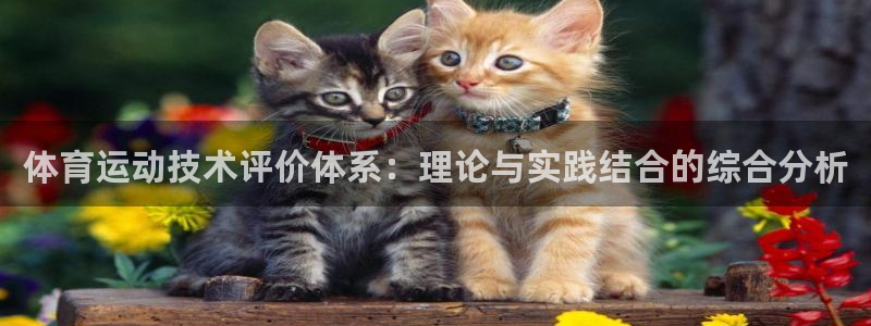 三亿体育网页版：体育运动技术评价体系：理论与实践结合的综合分析