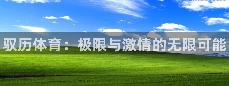 三亿体育网