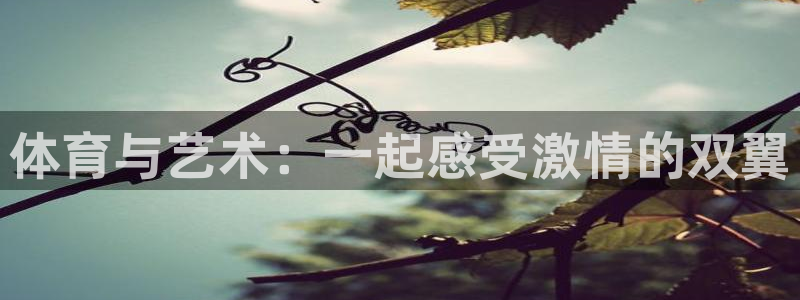 三亿体育网页版